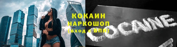 дживик Абаза