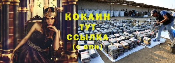 дживик Абаза