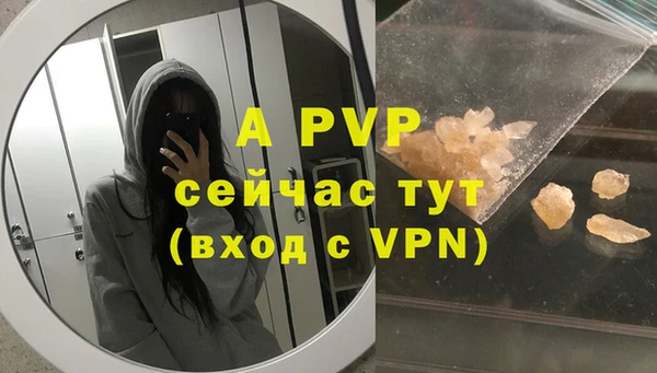 дживик Пересвет
