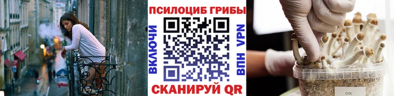 Галлюциногенные грибы мицелий Серафимович